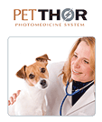 A Drug Free Alternative for Vets, PetTHOR