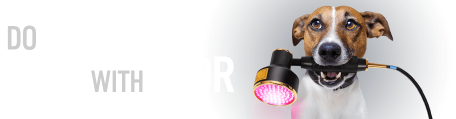 Do More With A THOR